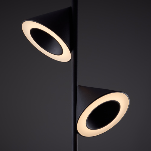 Напольный светильник (торшер) Freya FR6141FL-L14B фото 4